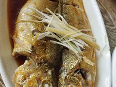 清蒸大黄花鱼-渔家颂歌渔家味道(青石路店)