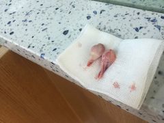 -联合动物医院(光谷诊疗中心)