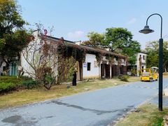 -田园东方蜜桃村的田野营地