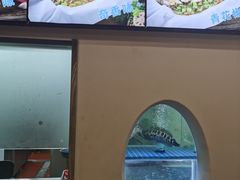 -三煮纸包鱼(青岛总店)