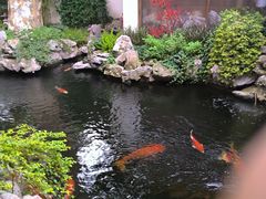 -鲤院·新中式美学·庭院餐厅(夫子庙店)