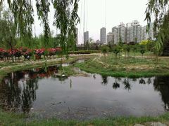 -咸阳湖景区-古渡公园