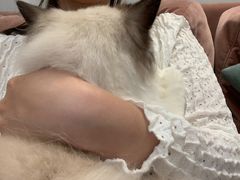 -袖虎·猫馆(体育西路店)