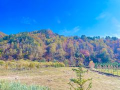 -塞罕坝国家级自然保护区