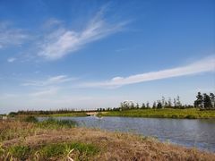 -春花秋色城市公园