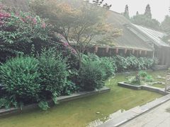 -老房子金沙元年川菜食府·花园餐厅(金沙店)