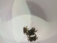 -濠轩阁特色生蚝火锅(水湾路店)