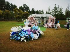 -春花秋色城市公园