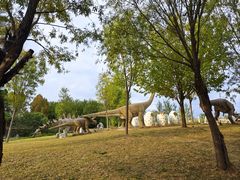 -西部长青自然儿童乐园