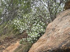 -天津盘山风景名胜区
