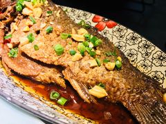 -酒阳蒸经小酒馆(解放碑店)