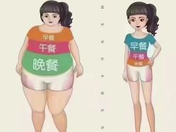 -Fundi张玉珊修身堂·indiba·BTL科技瘦身