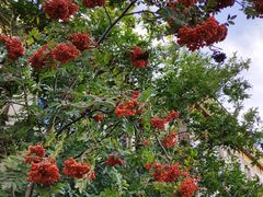 -金石唐风国际温泉会馆