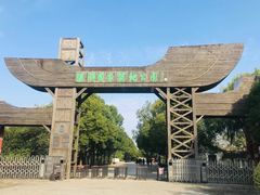 -溱湖国家湿地公园