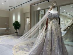 -南京宝娜嫁衣婚纱礼服馆(中央路店)