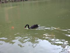 -水濂山森林公园