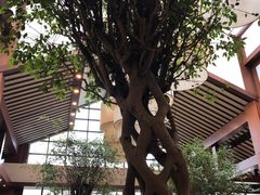 -苏州环秀晓筑养生度假村