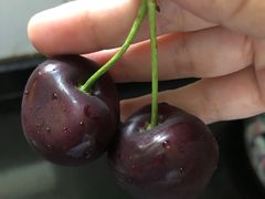-菜园坝水果市场