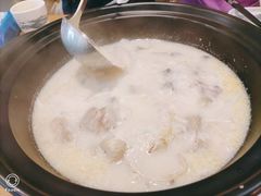 花胶鸡煲翅-喜上喜鸡煲翅(吉大店)