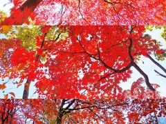 -沉浸北京·团建旅行·密室剧本杀·年会会议轰趴拓展