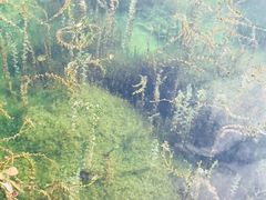 -沕沕水生态风景区