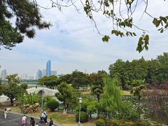 -古琴台