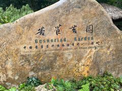-深圳仙湖植物园