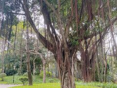 -深圳国际园林花卉博览园