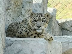 -青藏高原野生动物园