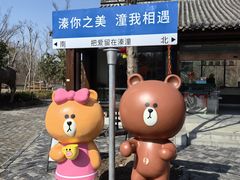 -溱湖国家湿地公园