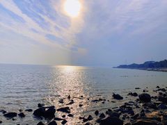 -深圳湾公园(南山区)