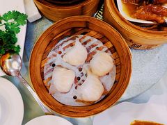 潮福虾饺皇-潮福城大酒楼·潮粤菜·港式点心(阳光城店)