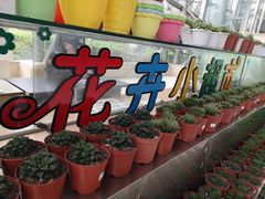 -南山植物园