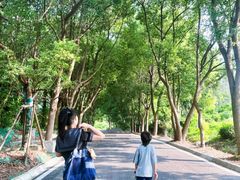-南京市江宁方山