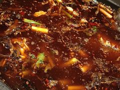 -费明中罗非鱼(大石坝店)