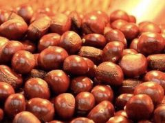 金栗凰糖炒板栗-金栗凰