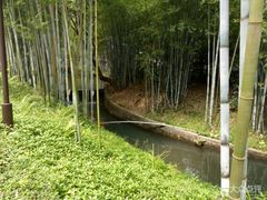 -广东温泉宾馆