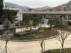 -梧桐山风景名胜区