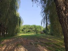 -东坝千亩湖公园