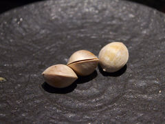 -三井日式料理(农安街店)