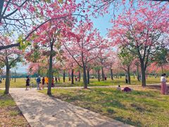 -风云岭森林公园
