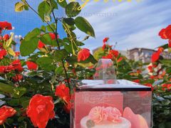 -卡拉多(阳明路店)