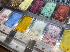 -iceason爱茜茜里·意大利健康冰淇淋(骑龙巷店)