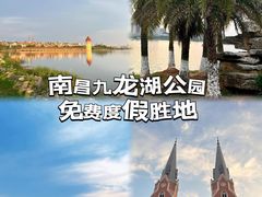 -九龙湖公园