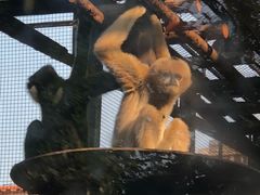 -石家庄市动物园