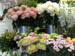 -植物学家的女儿(北马道巷店)