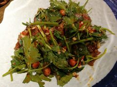 香菜拌牛肉-田趣园长沙菜(天安云谷店)