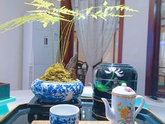 -松云泽