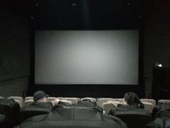 -山文星辉影城(济南和谐广场店)