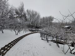 -大兴滨河森林公园